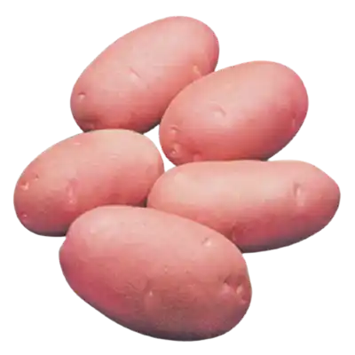 লাল আলু (কার্ডিনাল) ১ কেজি