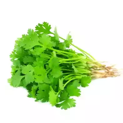 ধনে পাতা ১০০ গ্রাম